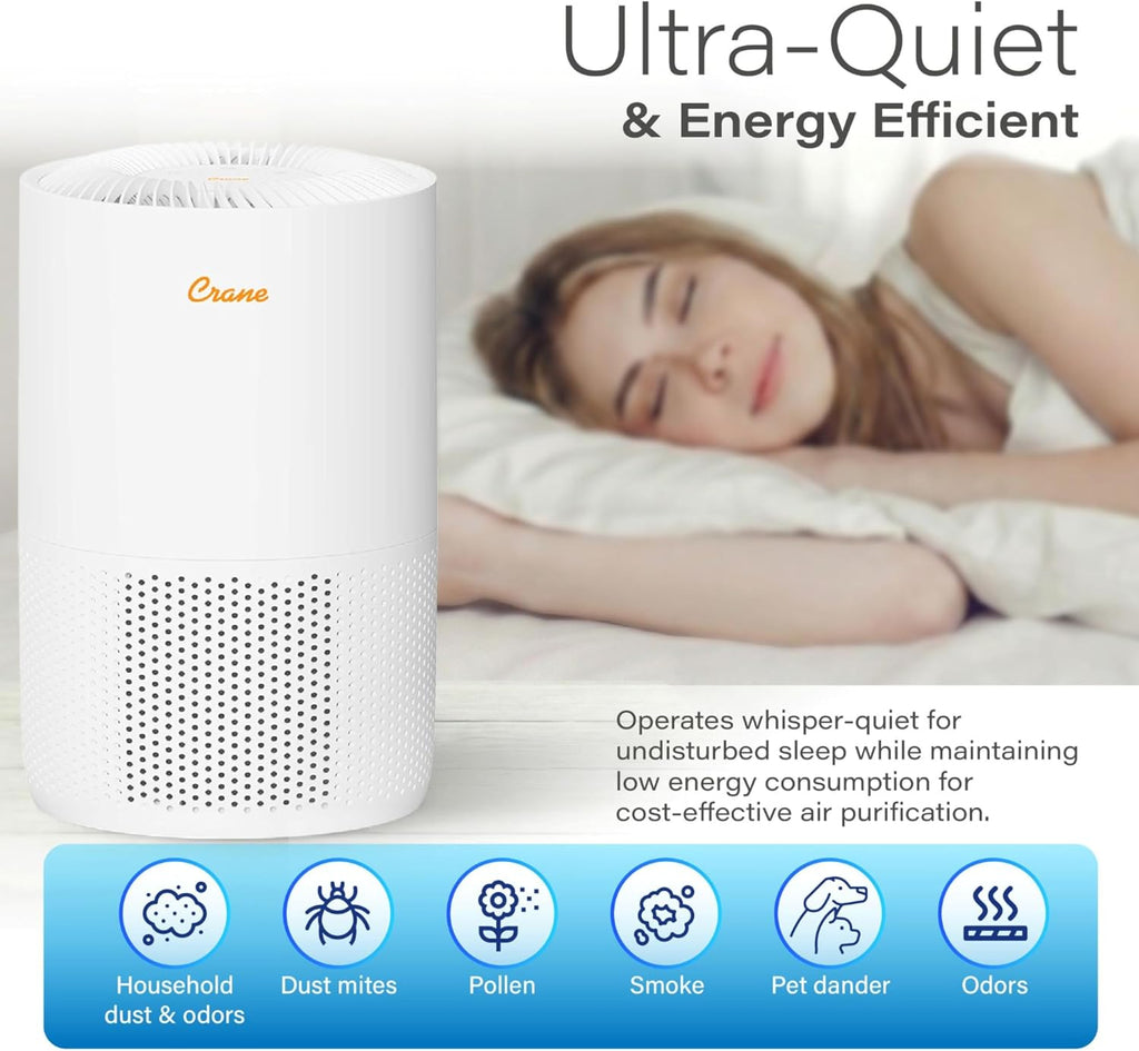 True HEPA Air Purifiers for Home, up to 300 Sq Ft, Air Purifiers for Bedroom, and Office, Removes Dust, Smoke, Pet Dander, and Allergens, Purifier HEPA with Sleep Timer, Child Lock, Filter Alert