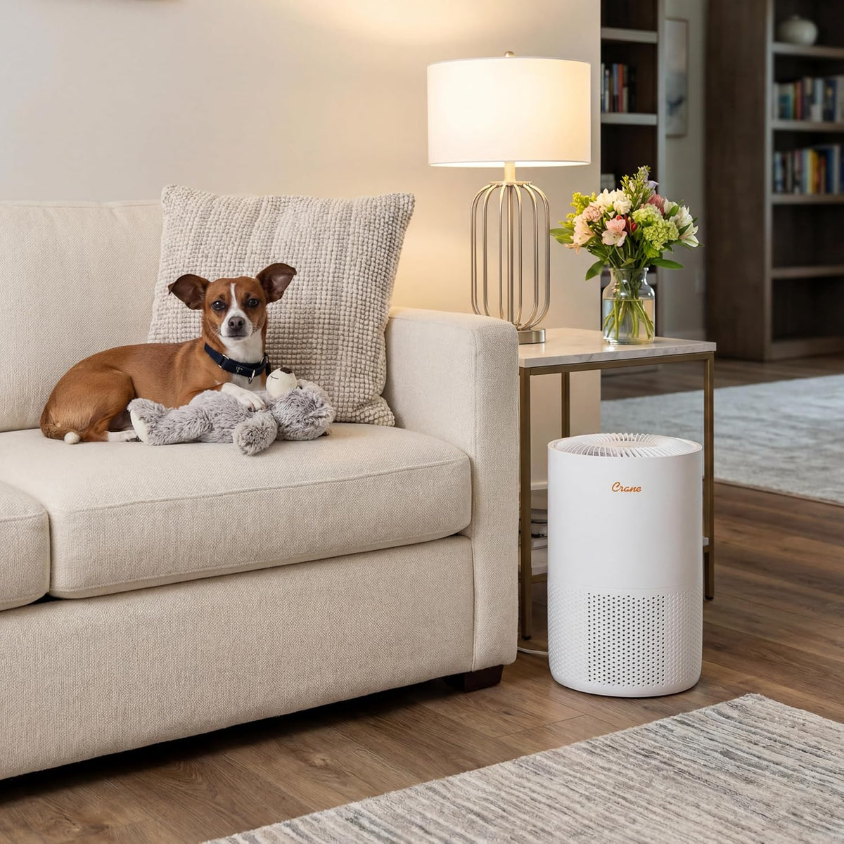 True HEPA Air Purifiers for Home, up to 300 Sq Ft, Air Purifiers for Bedroom, and Office, Removes Dust, Smoke, Pet Dander, and Allergens, Purifier HEPA with Sleep Timer, Child Lock, Filter Alert