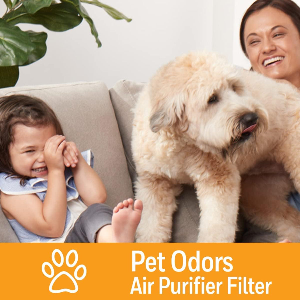 Pet Odor Reducing Filter for HPA3000 and HPA5000 Series