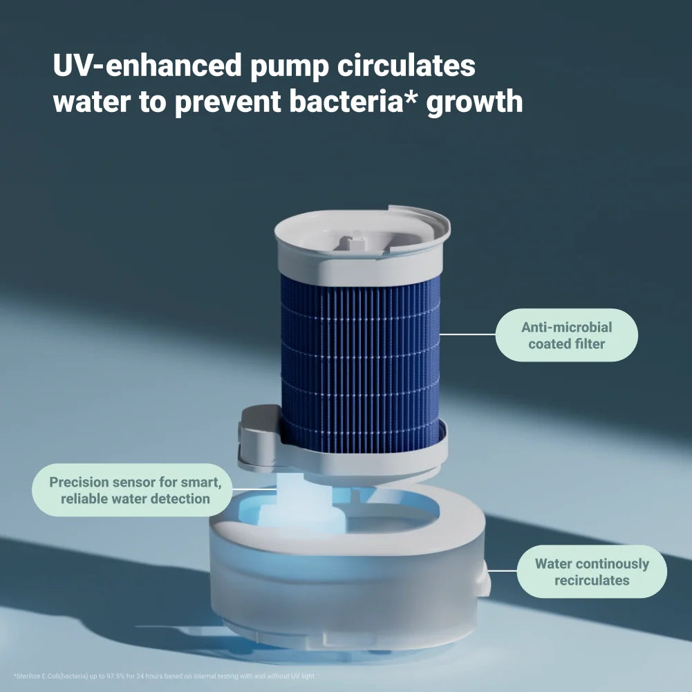 2-In-1 Purify + Humidify