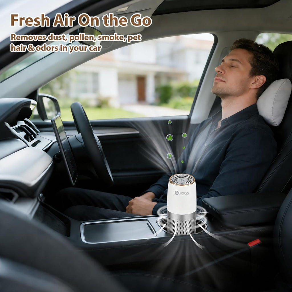 Portable Car Air Purifier with H13 HEPA Filter, Smoke Odor Removal